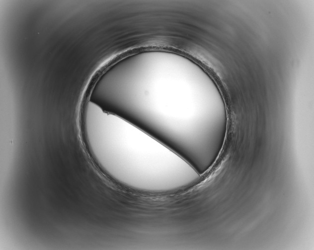 X0000098191029200804241047