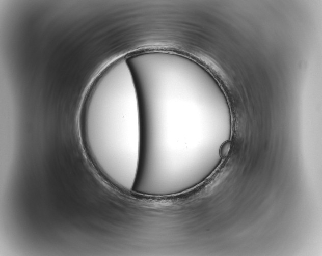 X0000098191030200804241047