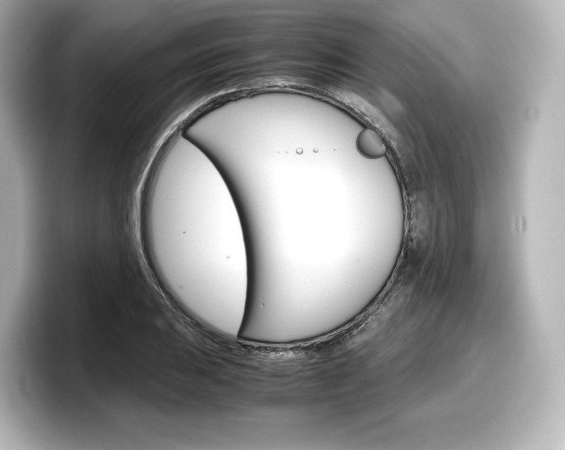 X0000098191031200804241047