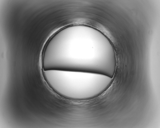 X0000098191036200804241047