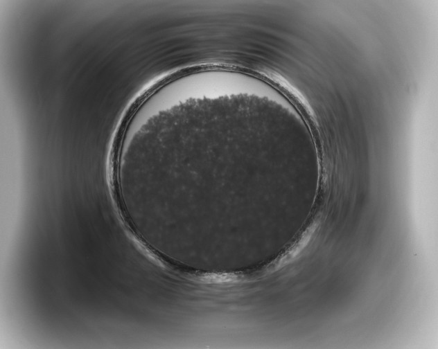 X0000098191037200804241047