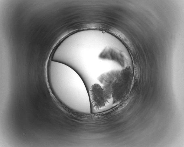 X0000098191039200804241047