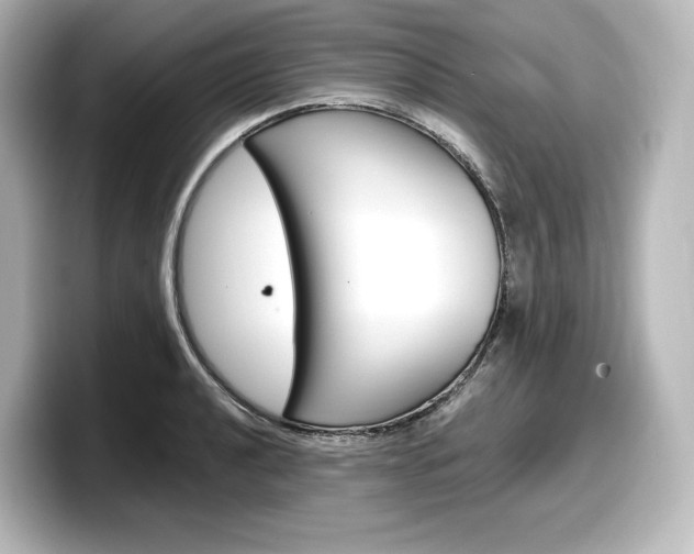 X0000098191040200804241047