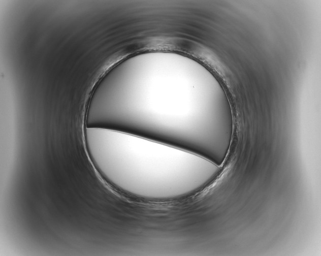 X0000098191041200804241047