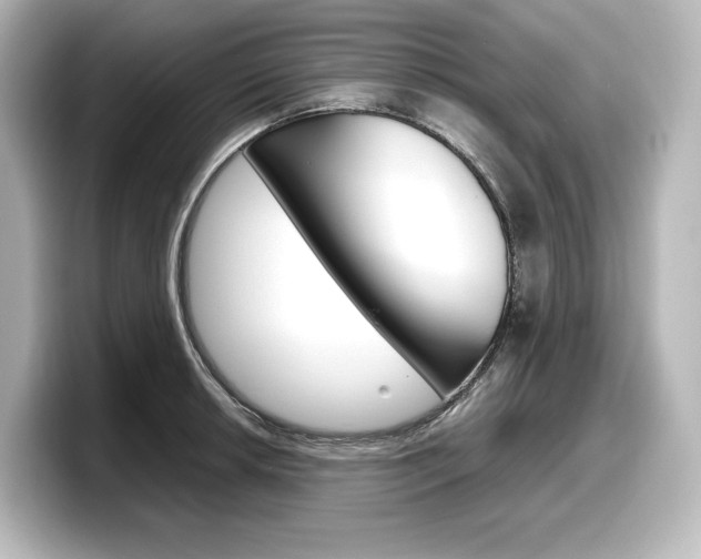 X0000098191042200804241047