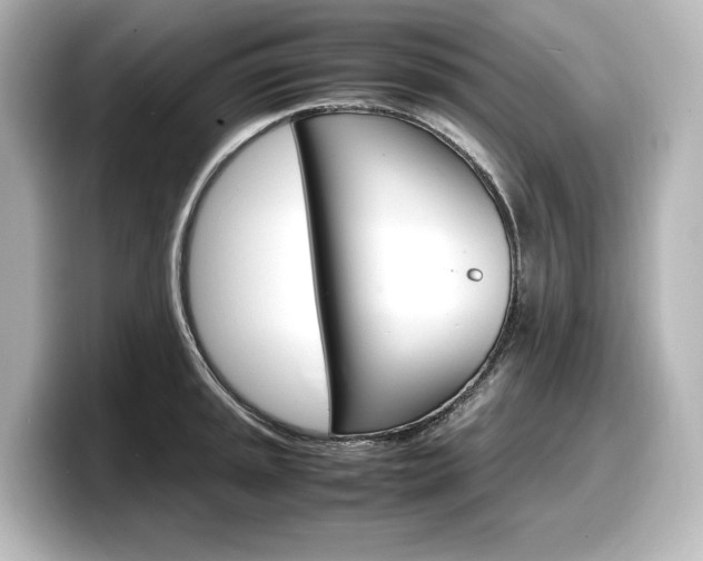 X0000098191045200804241047
