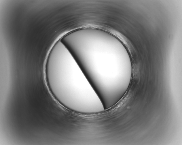 X0000098191048200804241047