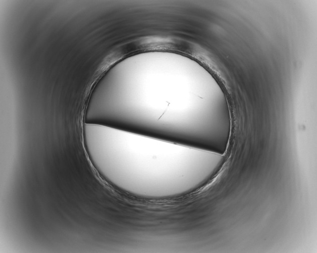 X0000098191049200804241047