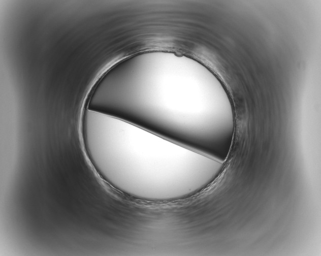 X0000098191050200804241047