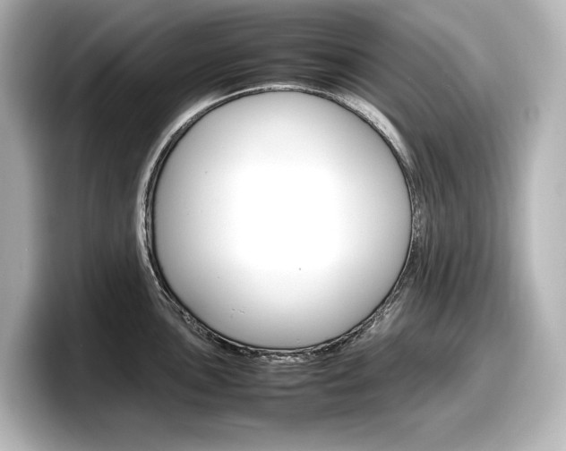 X0000098191051200804241047