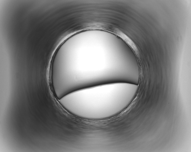 X0000098191052200804241047