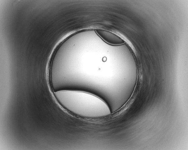 X0000098191053200804241047