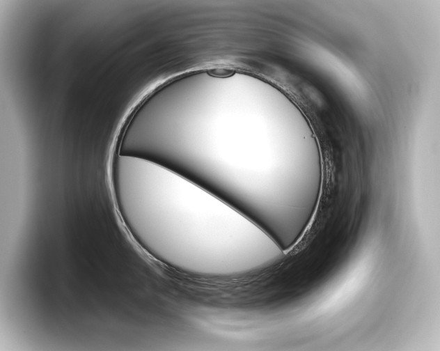 X0000098191054200804241047