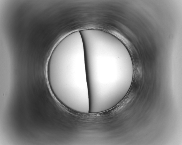 X0000098191055200804241047