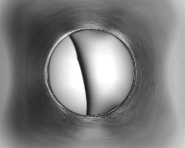 X0000098191056200804241047