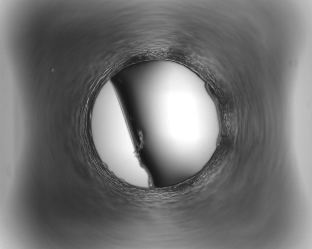X0000098191057200804241046