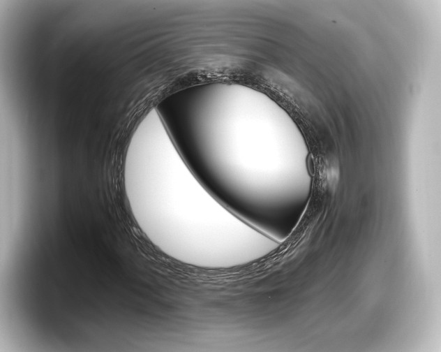 X0000098191060200804241046