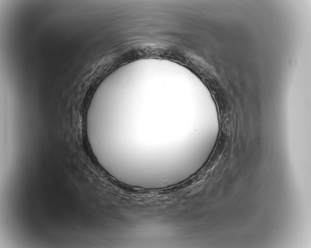 X0000098191061200804241046