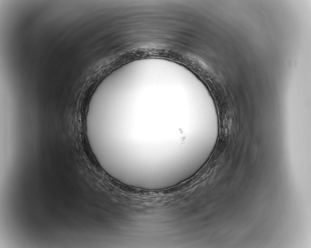 X0000098191062200804241046
