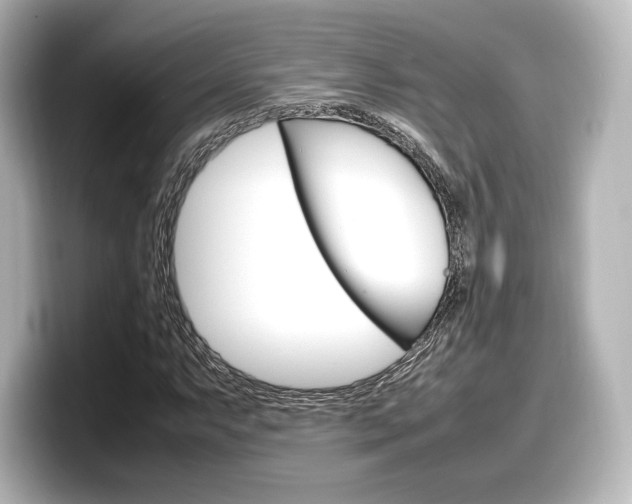 X0000098191063200804241046
