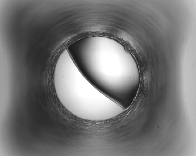 X0000098191064200804241046