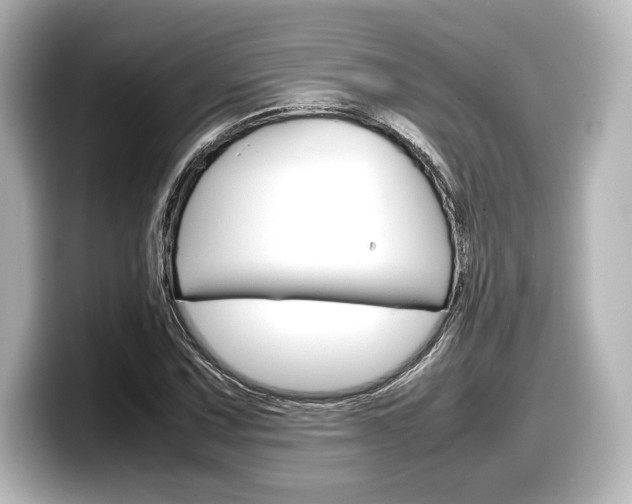 X0000098191067200804241046