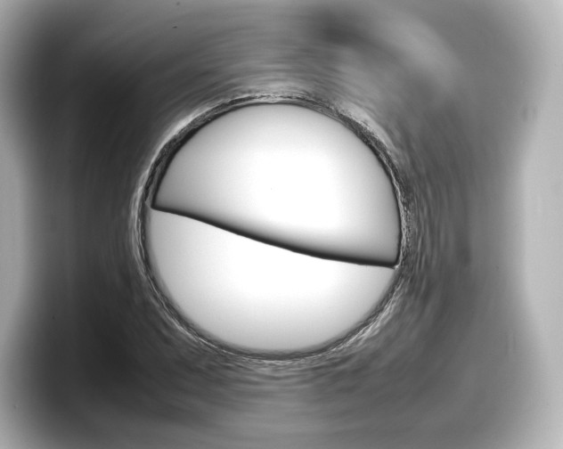 X0000098191071200804241046