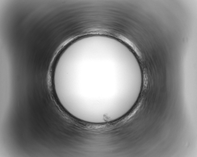 X0000098191074200804241046