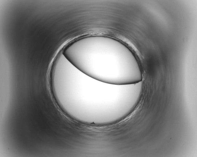 X0000098191075200804241046