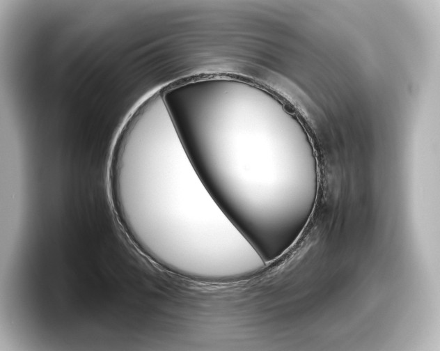X0000098191076200804241046