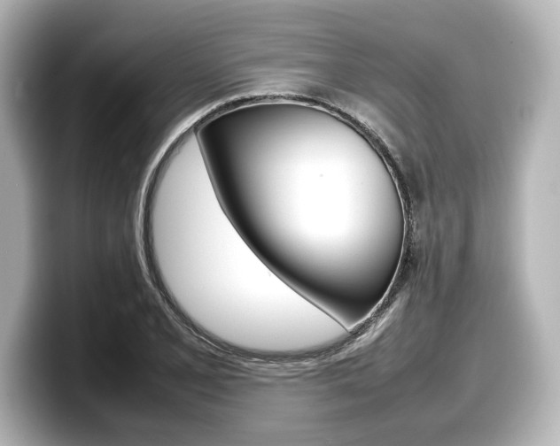 X0000098191077200804241046