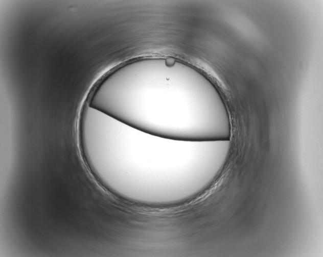 X0000098191079200804241046