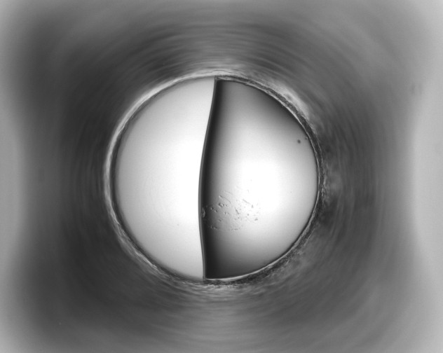 X0000098191080200804241046