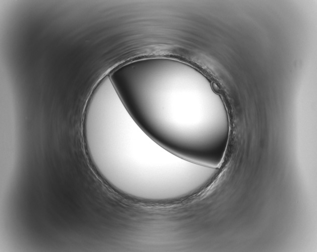 X0000098191081200804241046