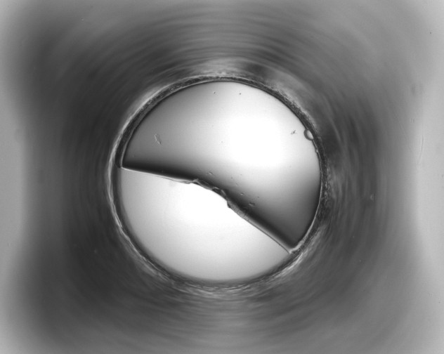 X0000098191082200804241046