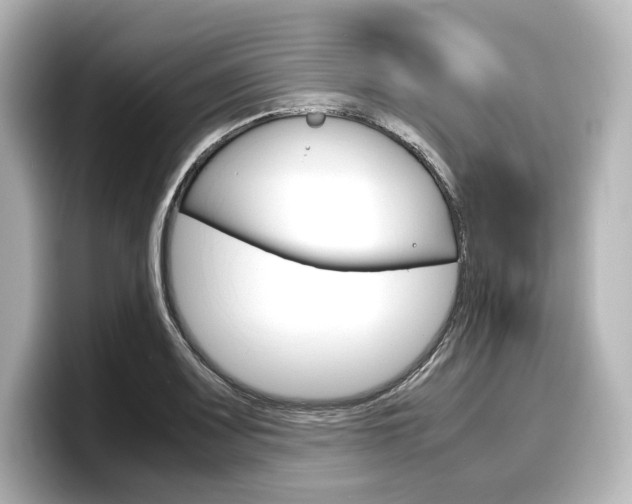 X0000098191083200804241046