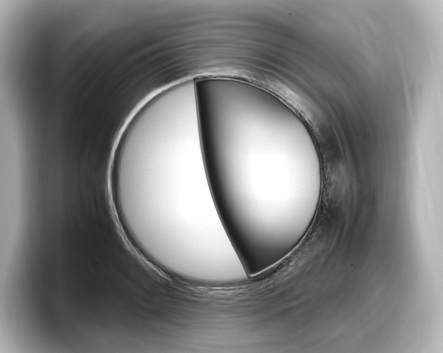 X0000098191084200804241046