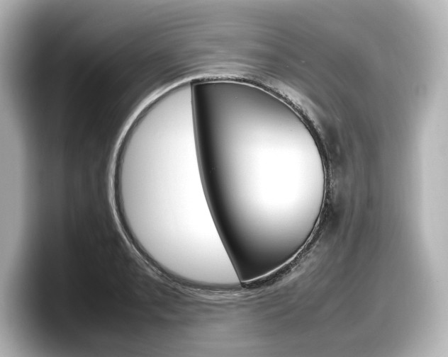 X0000098191085200804241046