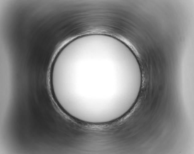X0000098191086200804241046