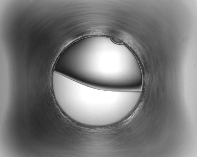 X0000098191089200804241046