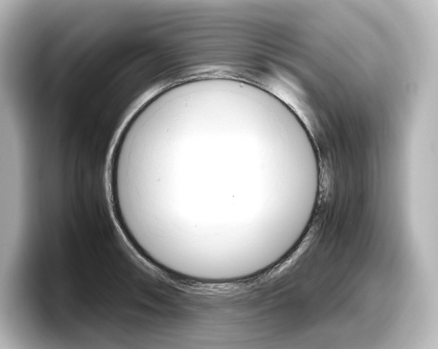 X0000098191090200804241046