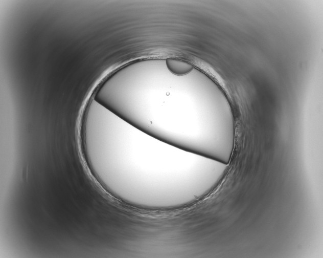 X0000098191091200804241046