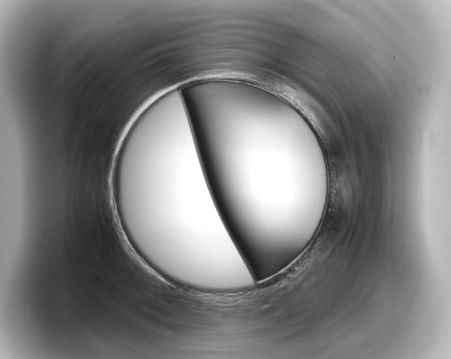 X0000098191092200804241046