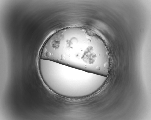 X0000098191095200804241046