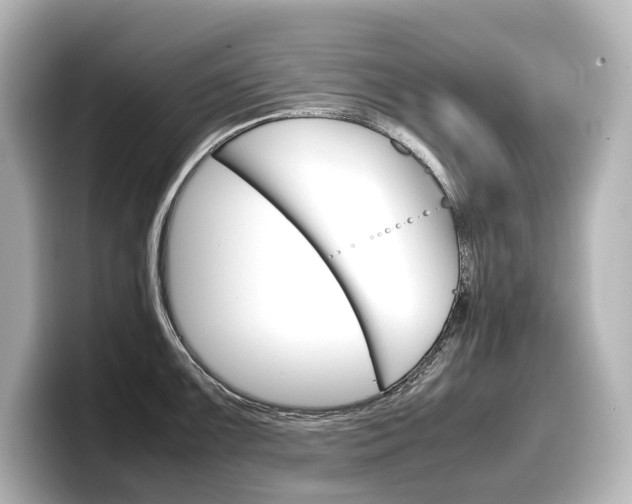 X0000098191099200804241046