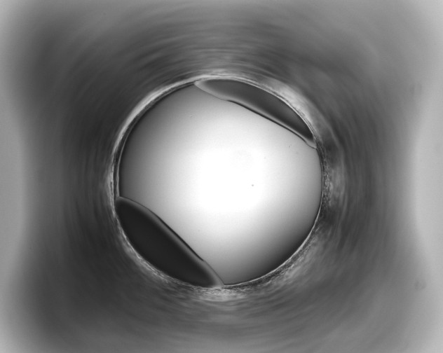 X0000098191100200804241046
