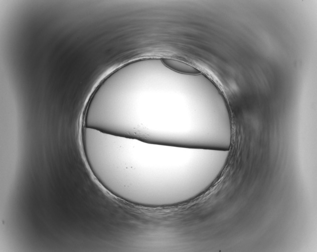 X0000098191103200804241046
