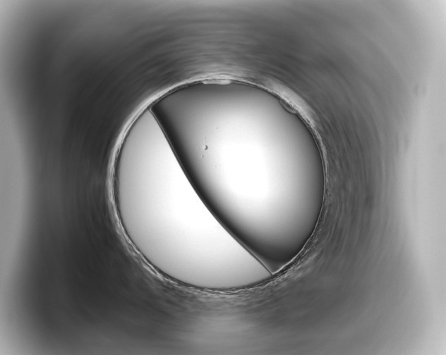 X0000098191104200804241046
