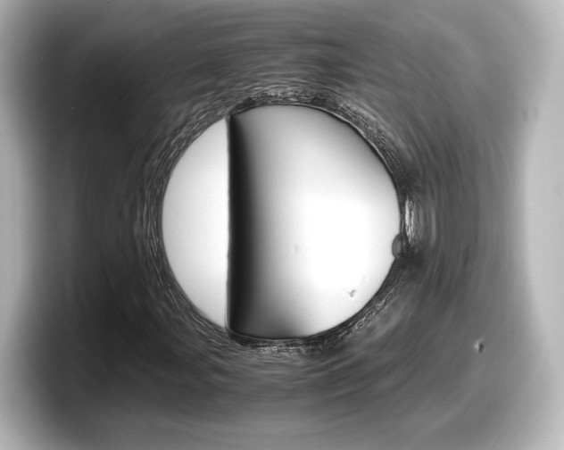X0000098191107200804241045