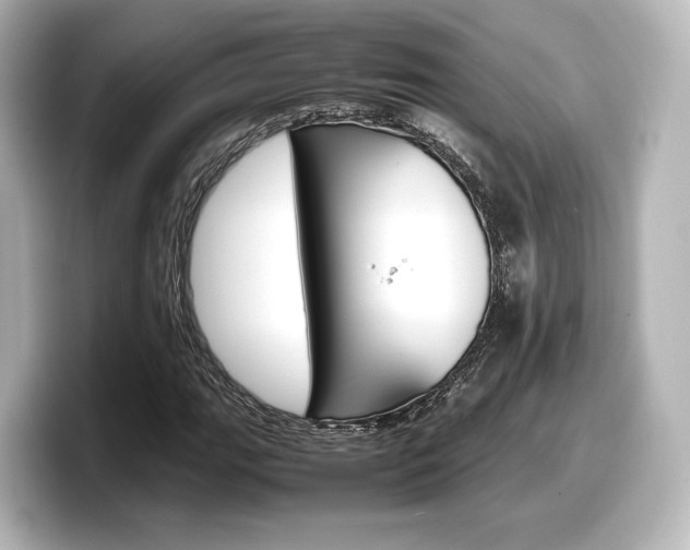 X0000098191111200804241045